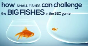 How Small Fishes Can Challenge the Big Fishes in the SEO Game