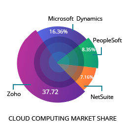 NetSuite Market Share