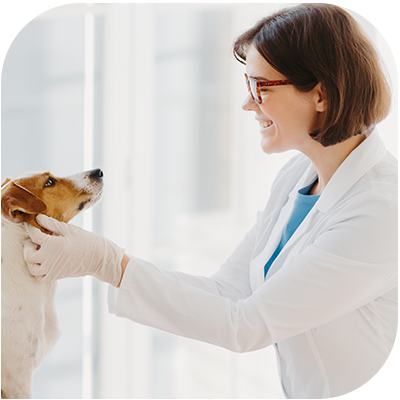 Veterinarians