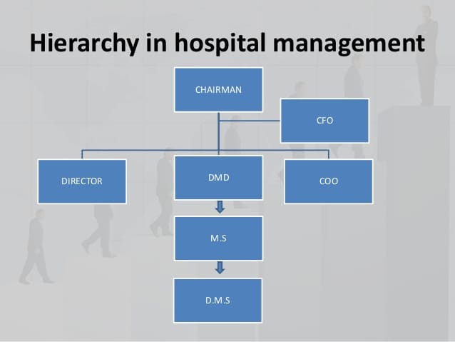 hierarchy in hospital management